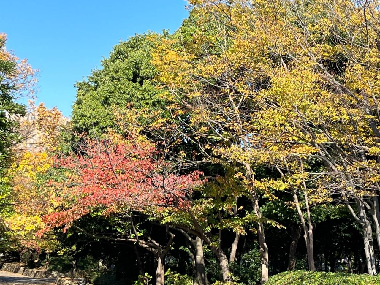 今年も残り2ヶ月