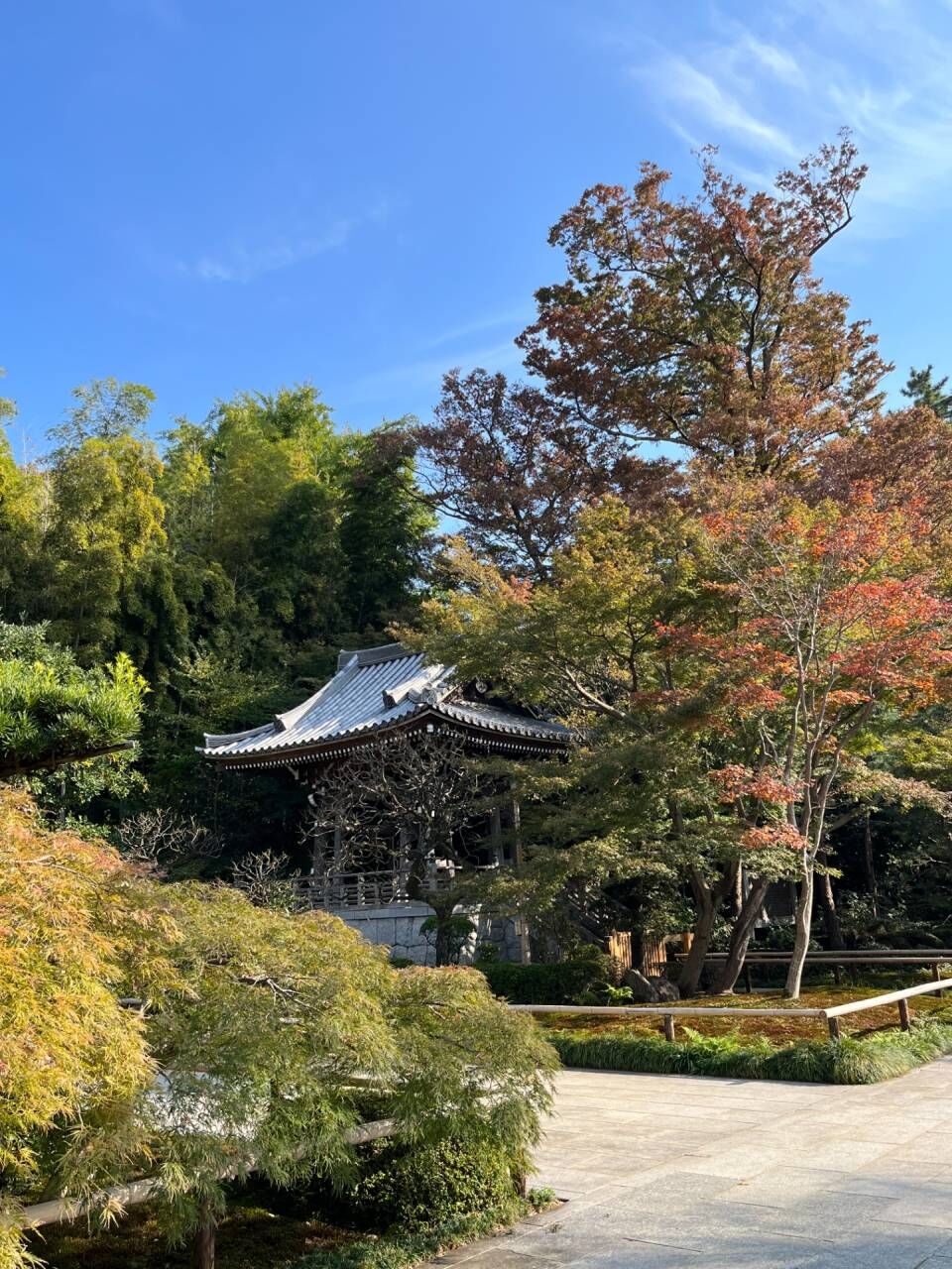 人は城～今川氏の菩提寺～