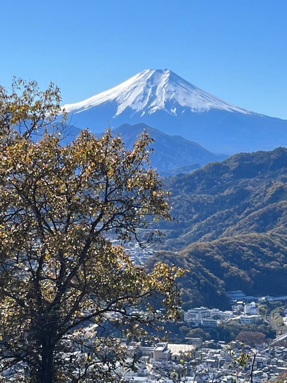 人は城～難攻不落の岩殿城～