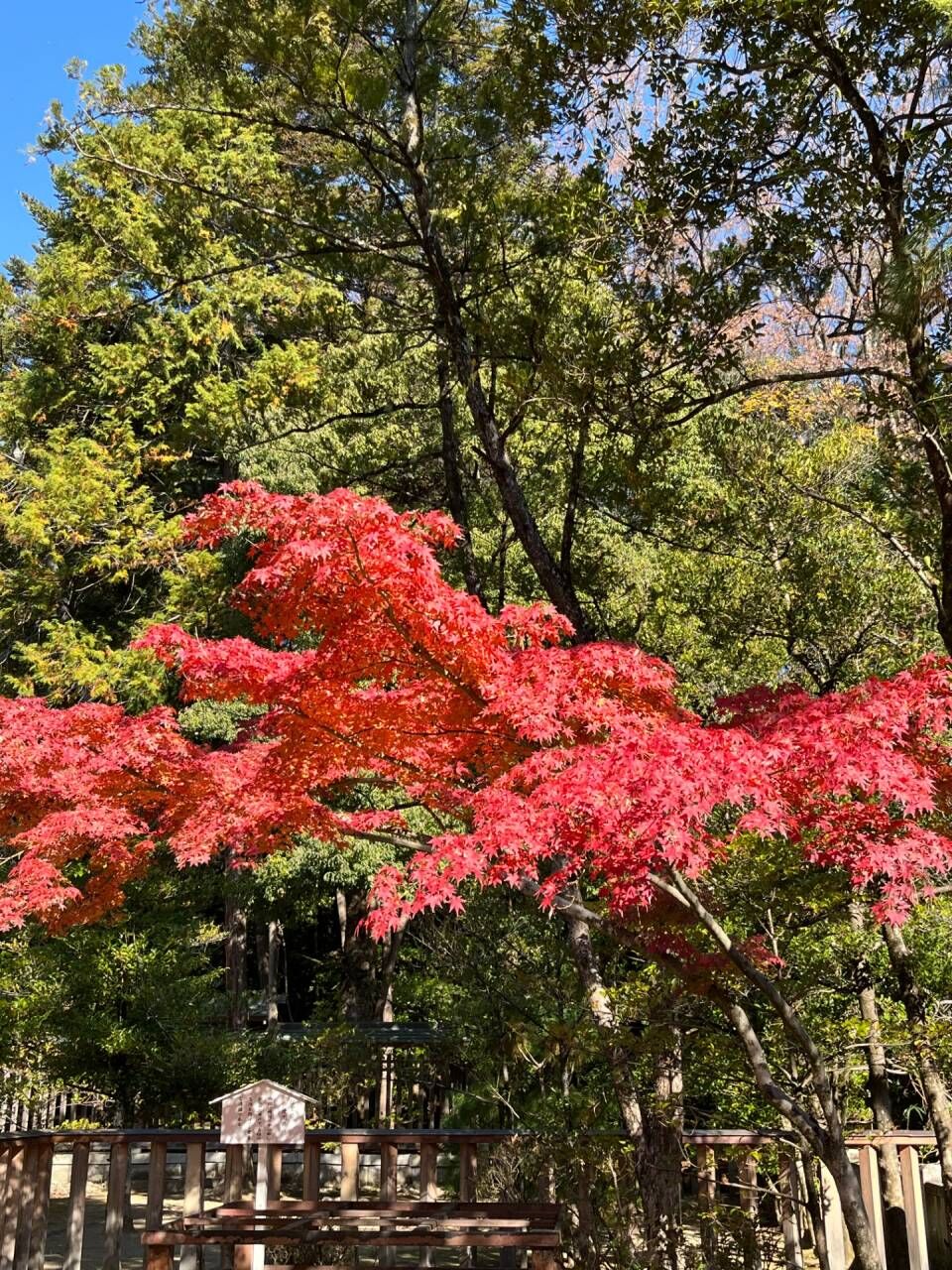 人は城～甲斐の虎～