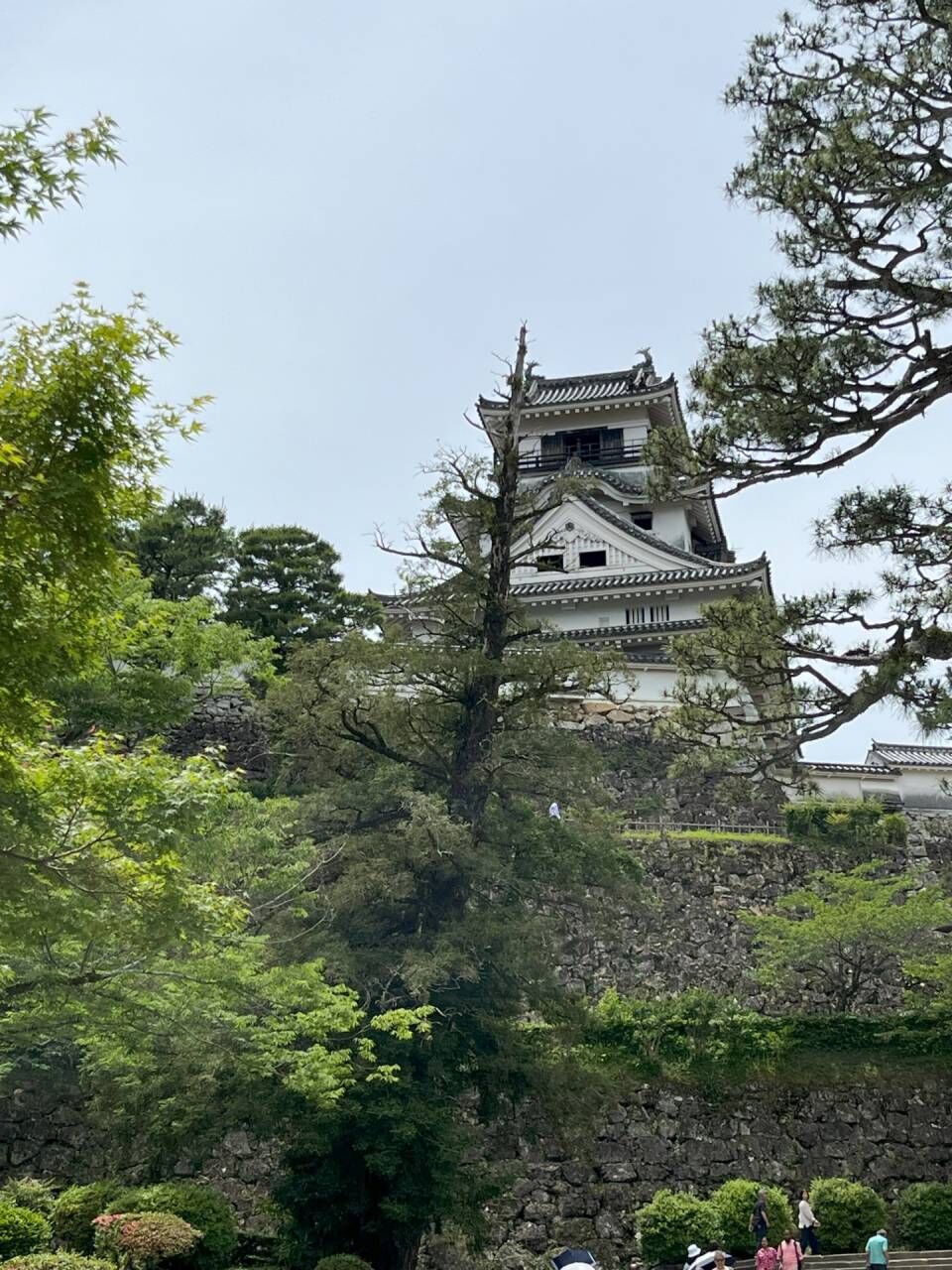 人は城～高知城下を望む～